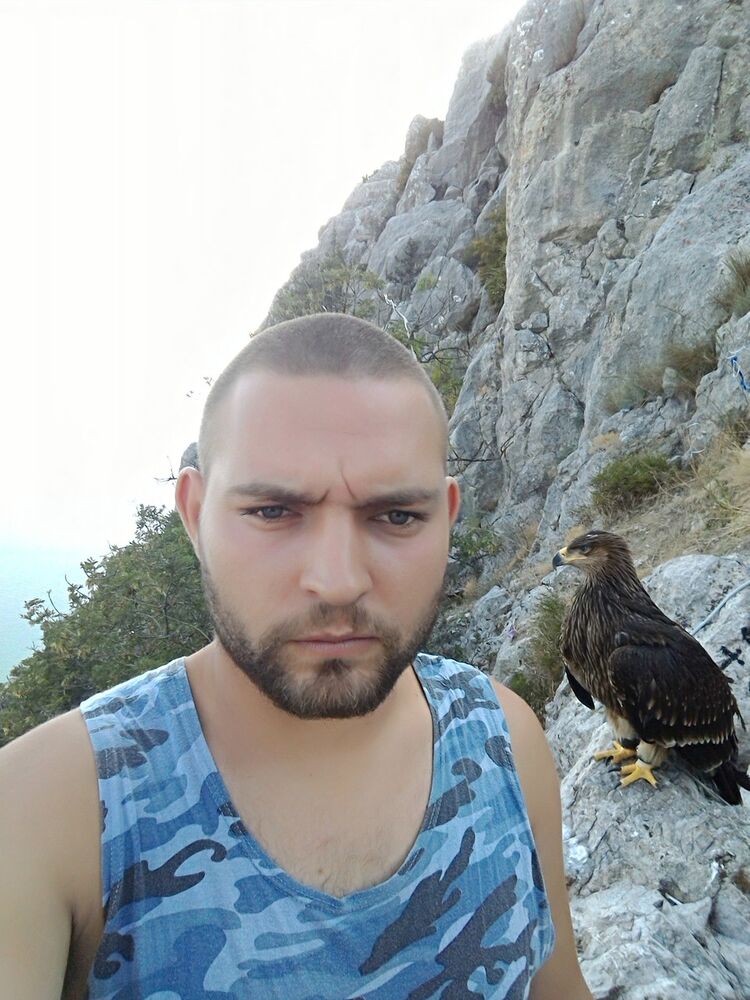 ���� 17652531 ������� �������, 33 ����, ���� ���������� � ��������������