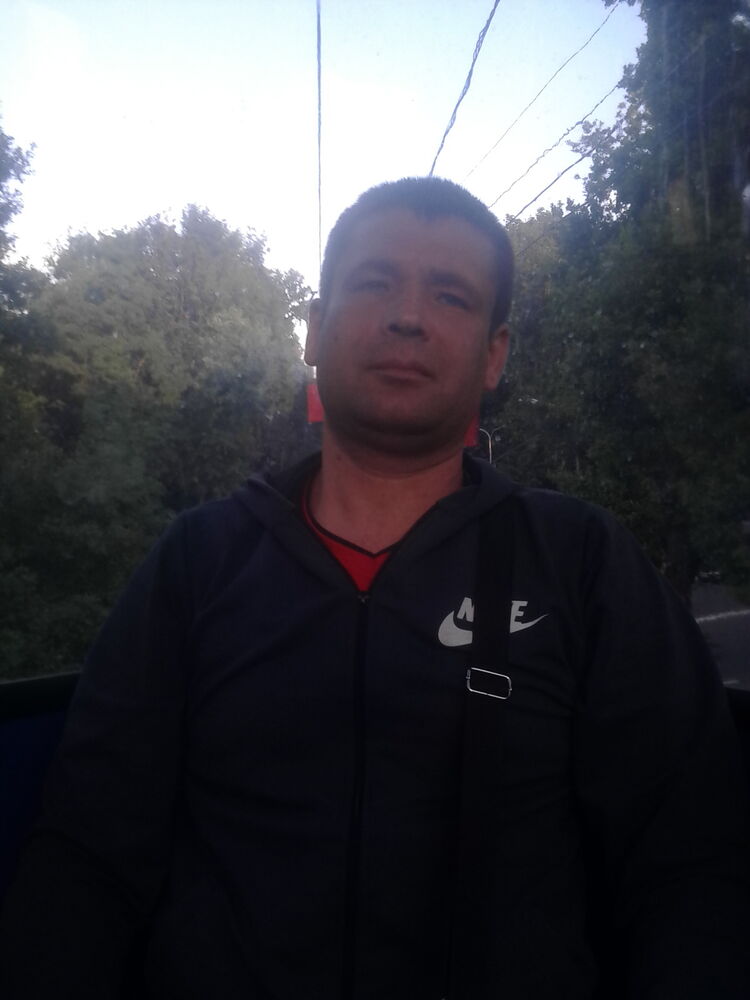  40681331  , 44 ,    