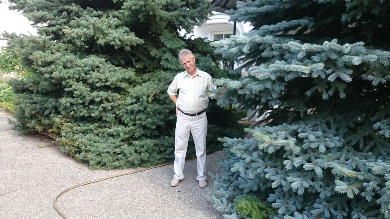 ���������� �������, ���� ������� ����, 60 ���, ������������ ��� ������, ����� � ���������