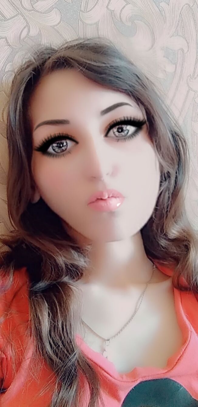 ���� 23123911 ������� ���, 33 ����, ���� ���������� � �������