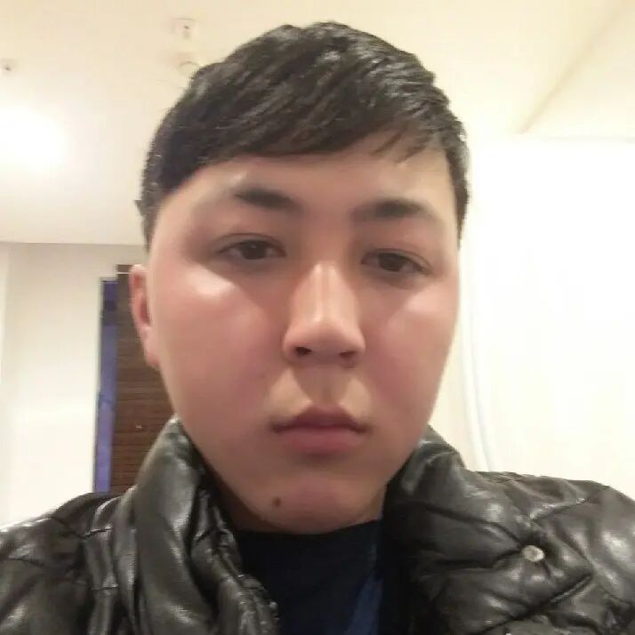  33683381  , 34 ,    
