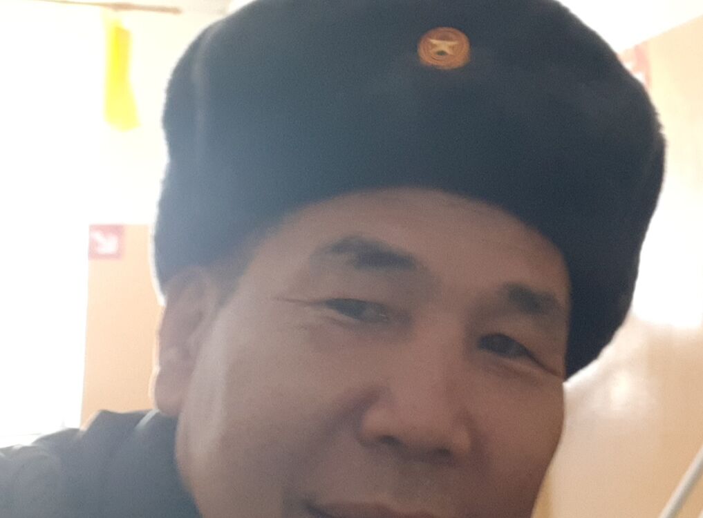  33964401  , 53 ,    