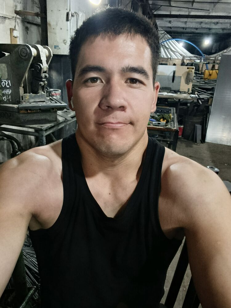  53068581  , 26 ,    