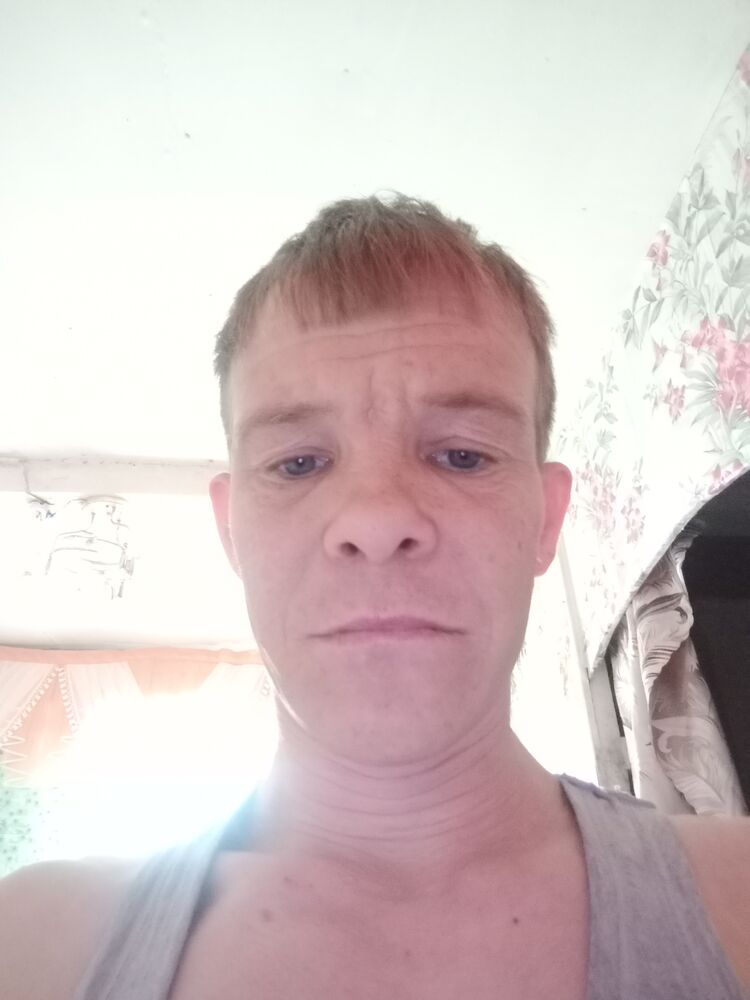  50682451  , 36 ,    