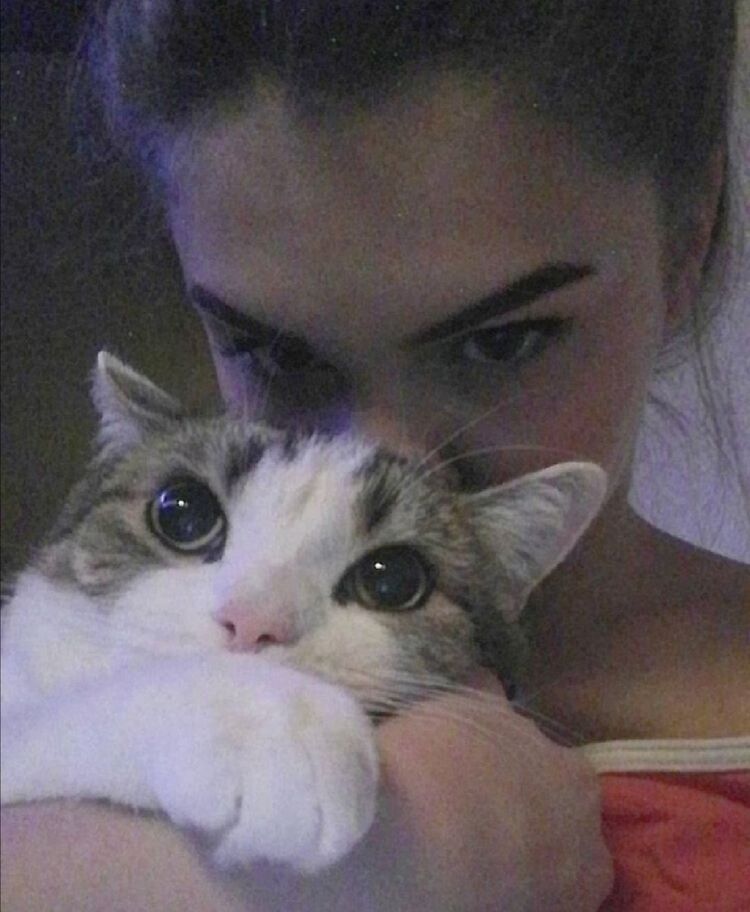 ���������� �����, ���� ������� Dj_niGHt, 24 ����, ������������ ��� ������, ����� � ���������, c�������� ���������