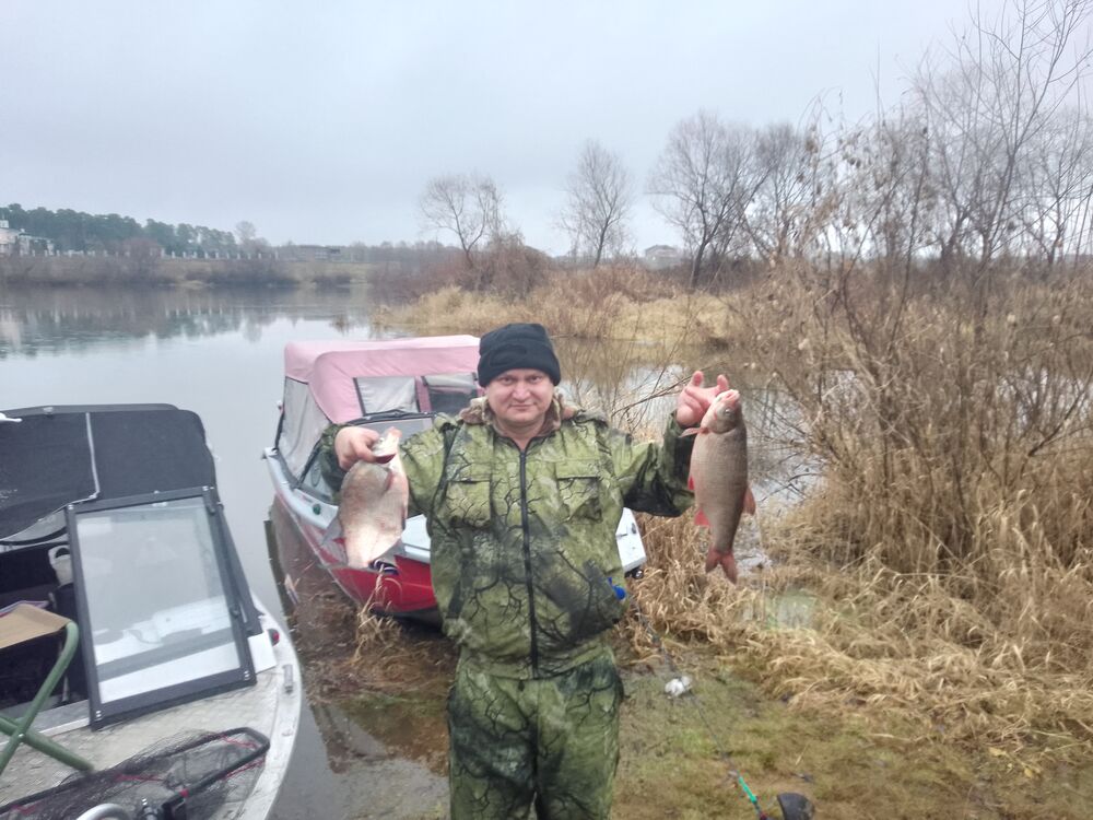 ���� 56194651 ������� Rinat, 43 ����, ���� ���������� � ���������