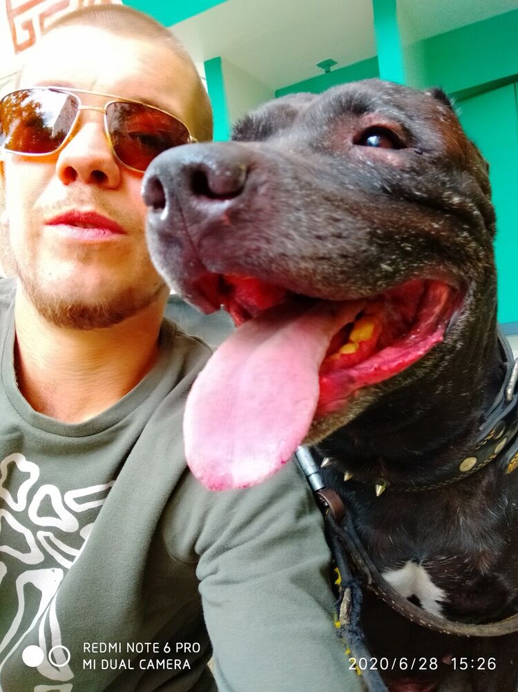 ���������� ������, ���� ������� �������, 36 ���, ������������ ��� ������, ����� � ���������, c�������� ���������