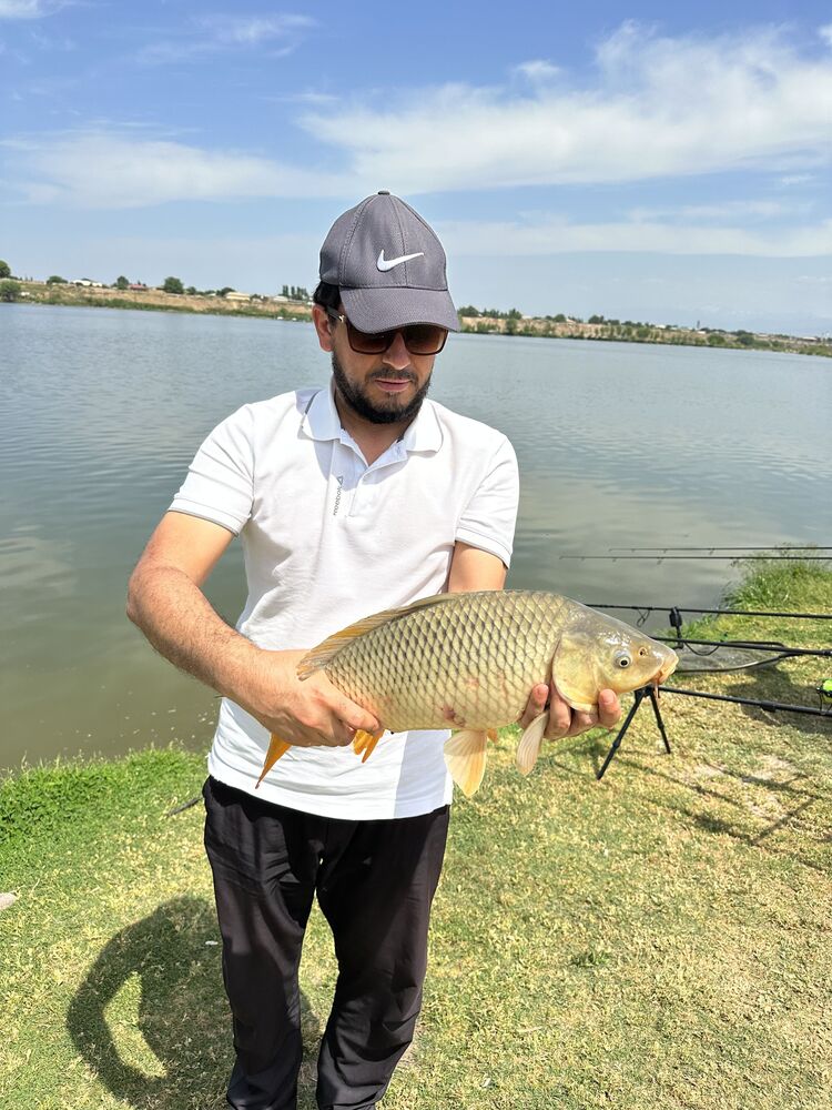  54277991  Dilwod, 31 ,    