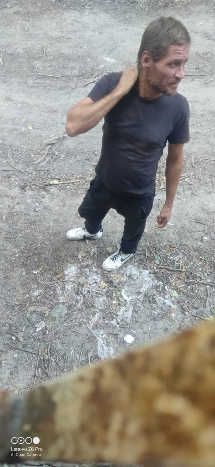  43448691  , 44 ,    --