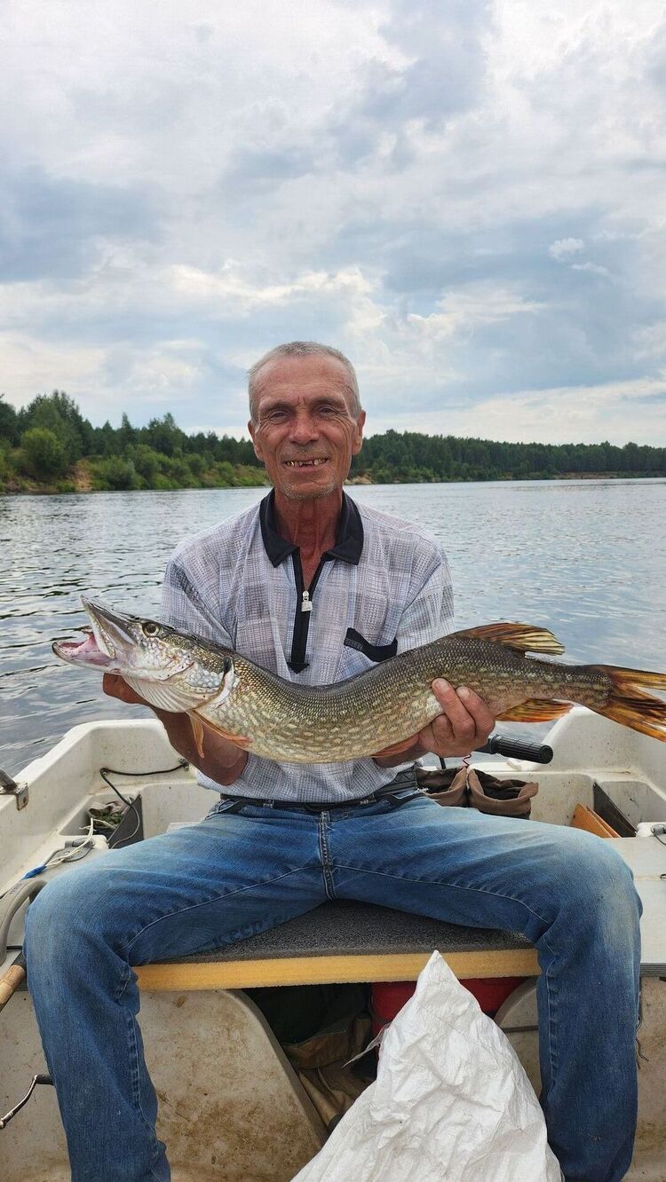 ���� 54994811 ������� ������, 63 ����, ���� ���������� � ���