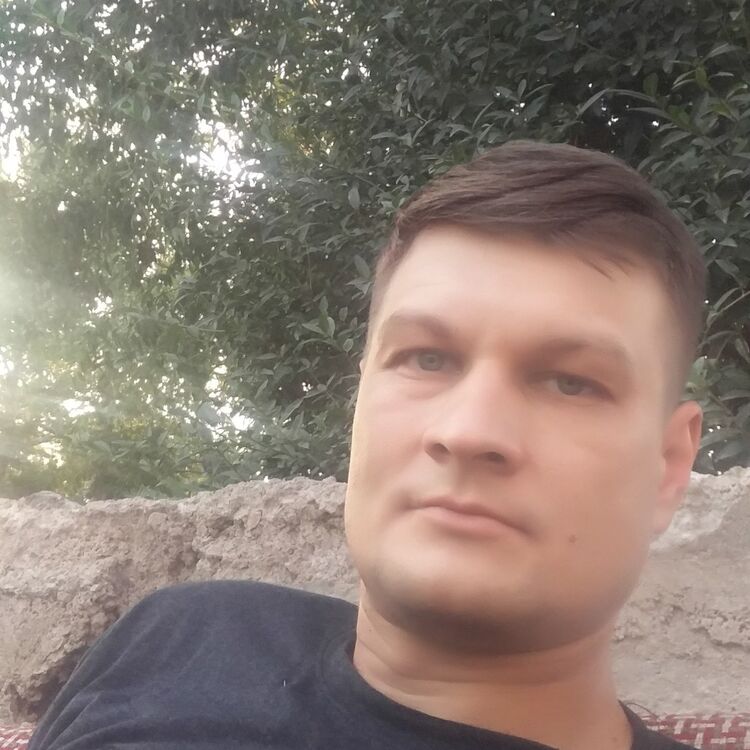  17393841  , 40 ,    