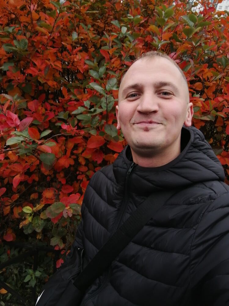  54286401  , 31 ,    -