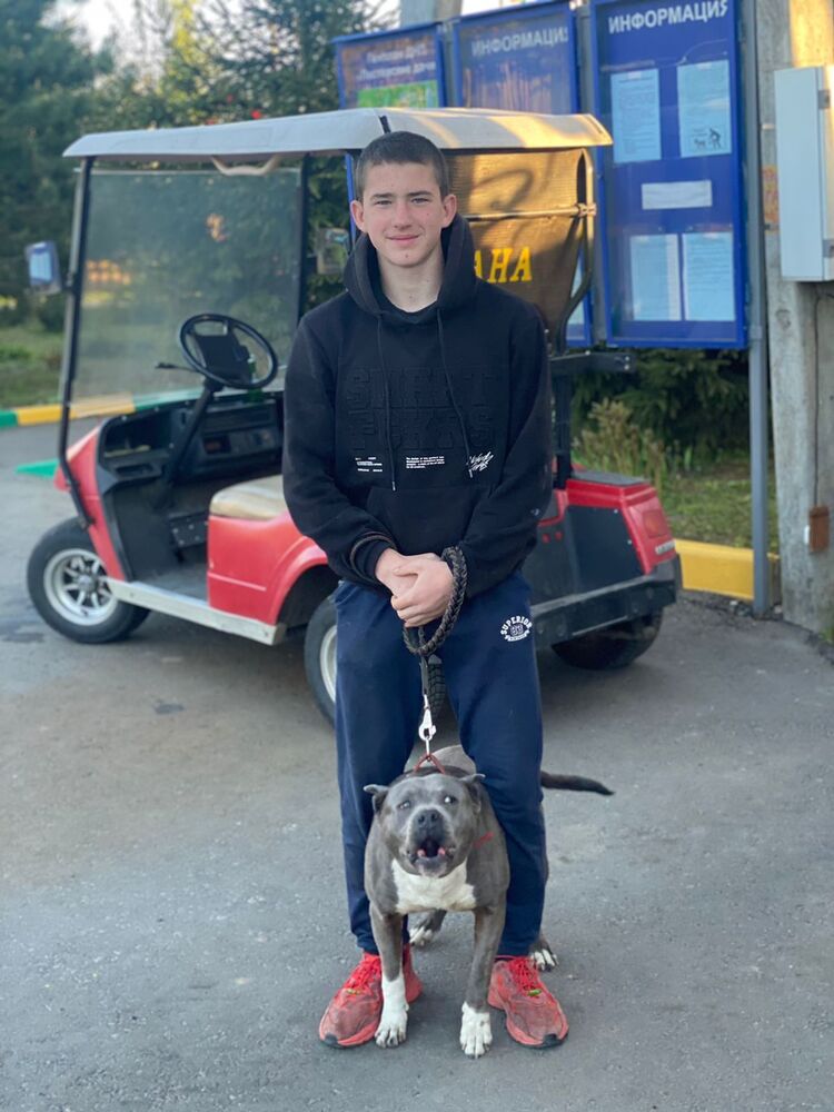 ���� 26606581 ����� ������, 22 ����, ���� ���������� � �������