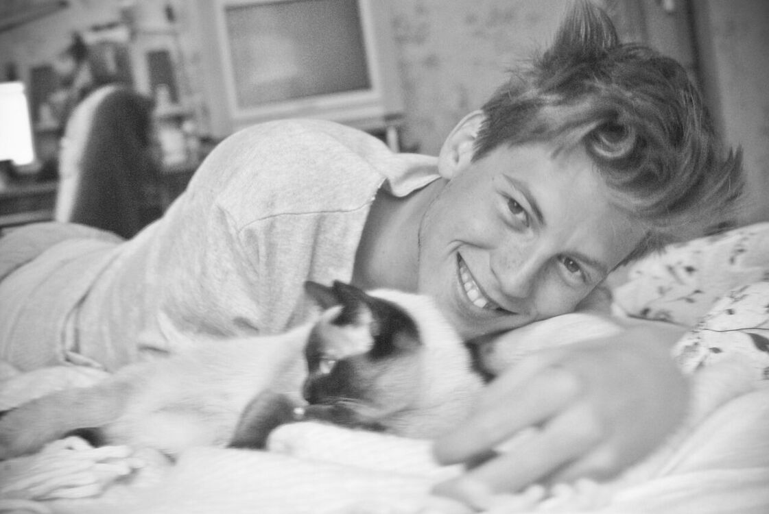 ���� 4772751 ������� Maxmash, 38 ���, ���� ���������� � ������