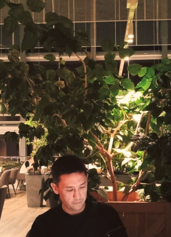  ,    , 40 ,   ,   