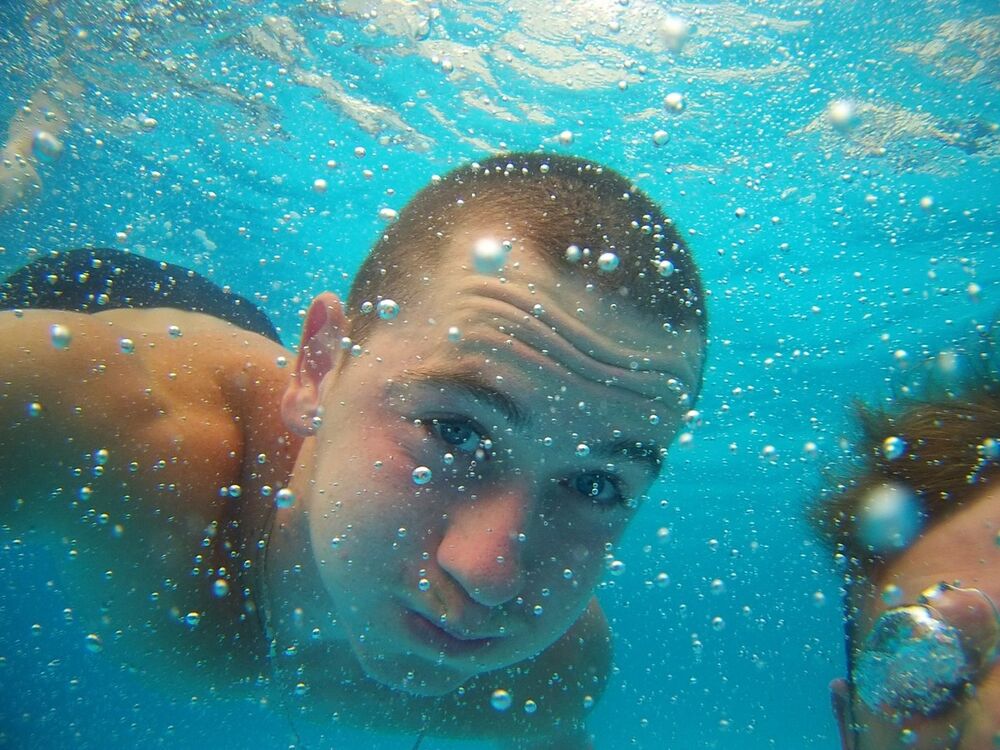 ���������� ��������, ���� ������� ���������, 31 ���, ������������ ��� ������, ����� � ���������, c�������� ���������