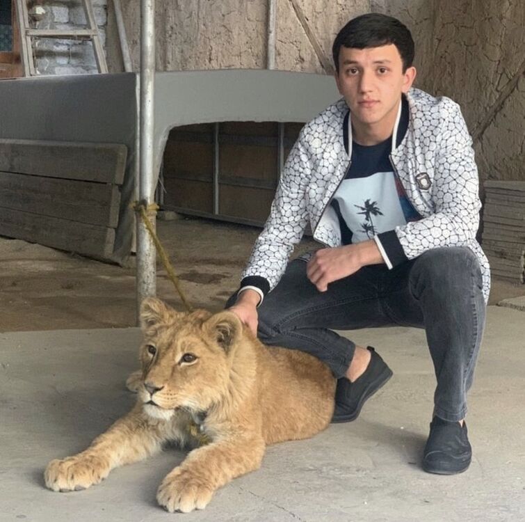 ���� 33861331 ������� Alijon, 27 ���, ���� ���������� � ��������