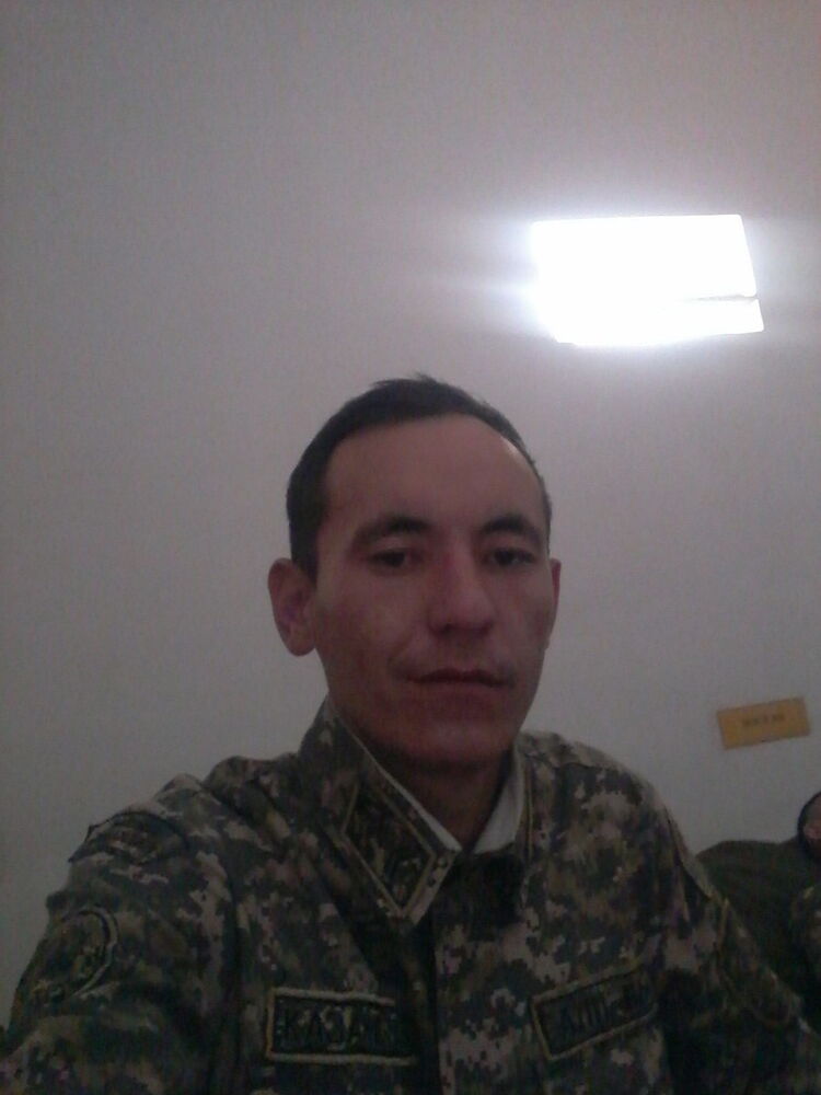  14309701  , 33 ,    