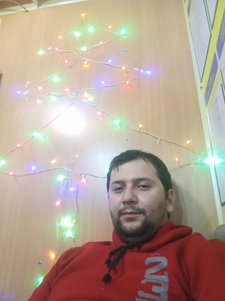  49190331  , 29 ,    