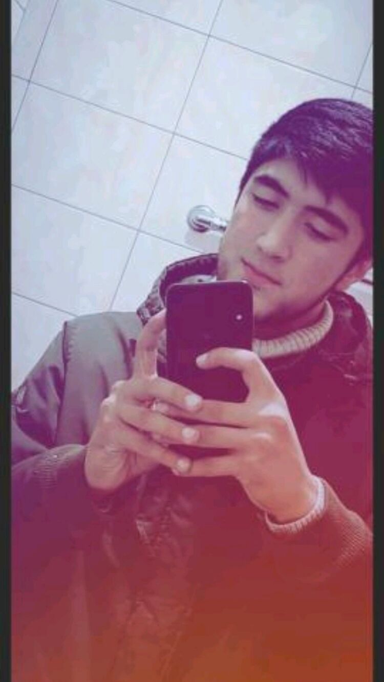  36528981  , 26 ,    