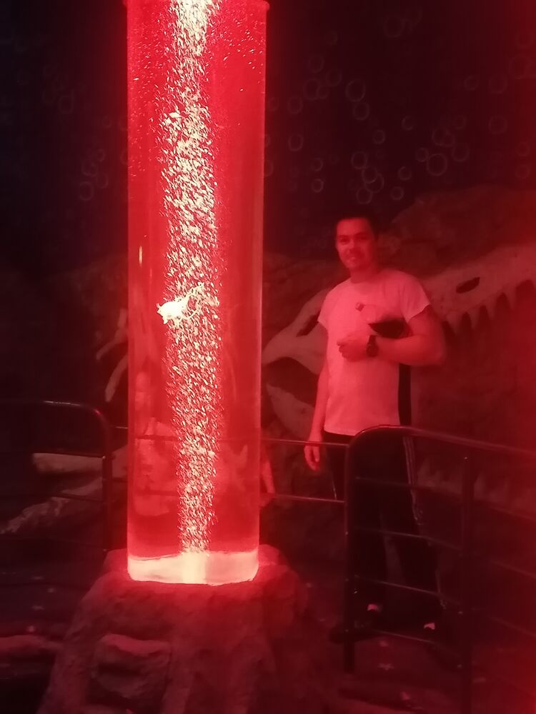 ���� 31231021 ������� �������, 31 ���, ���� ���������� � ������