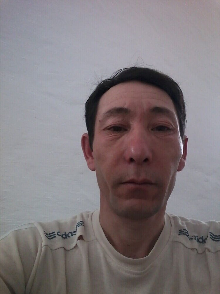  20386581  , 48 ,    