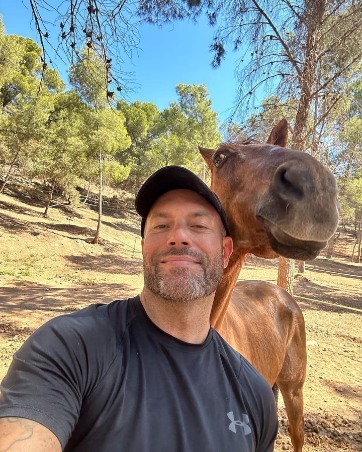 ���� 40137731 ������� �������, 40 ���, ���� ���������� � ������