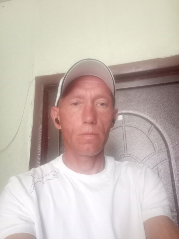  42897311  , 38 ,    