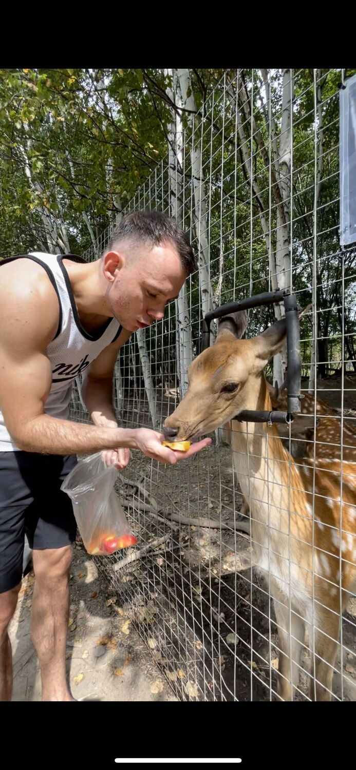 ���������� �����������-��-�����, ���� ������� ����, 33 ����, ������������ ��� ����� � ���������, c�������� ���������