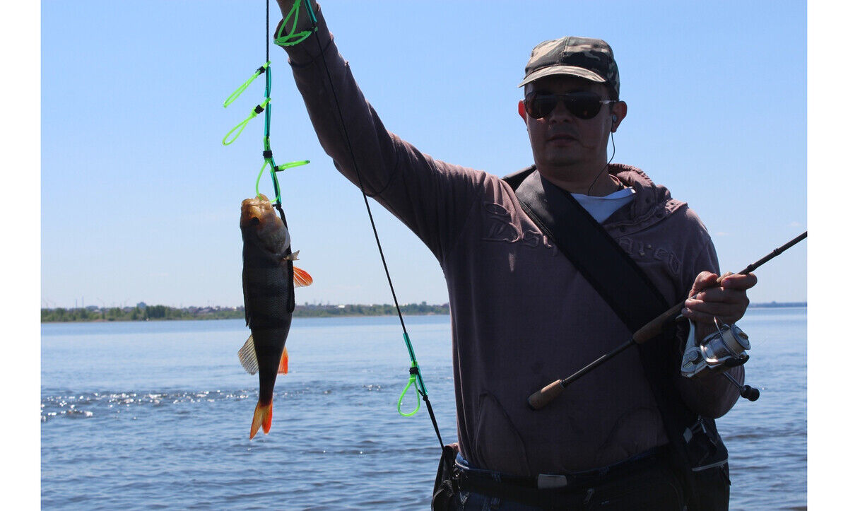 ���� 21809961 ������� �����, 60 ���, ���� ���������� � �����