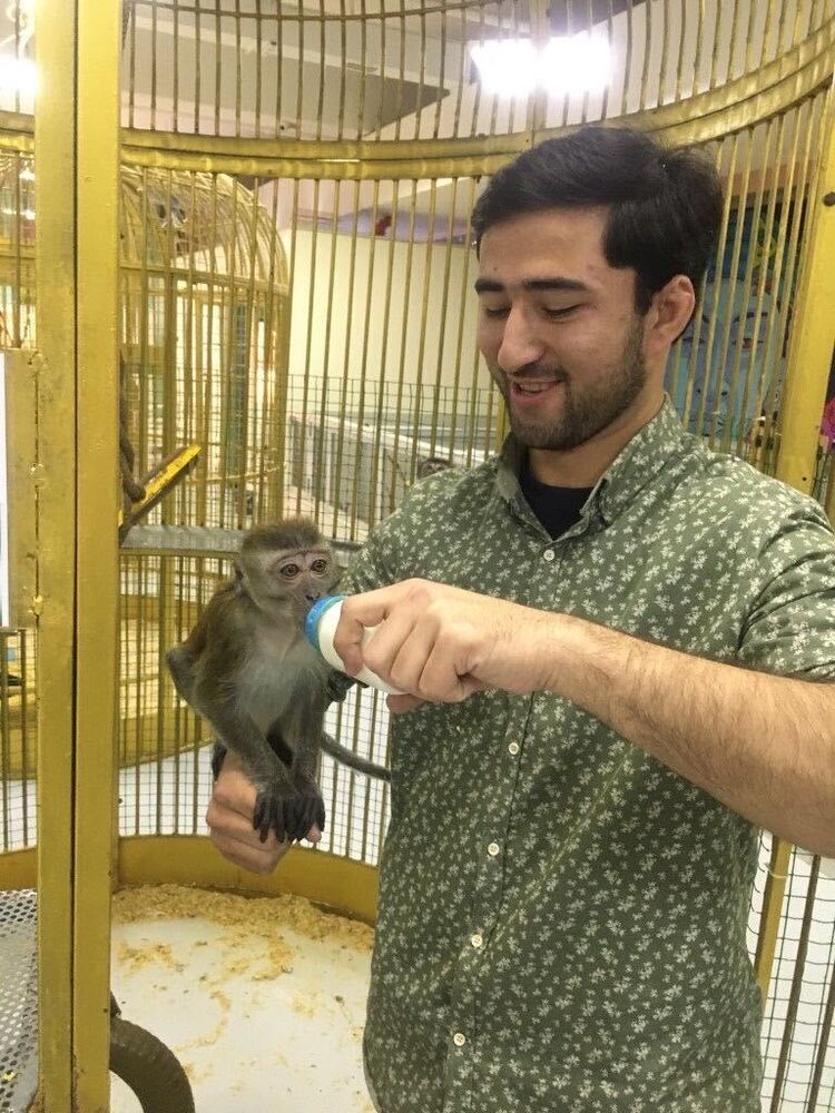 ���� 27435971 ������� ������, 28 ���, ���� ���������� � �������