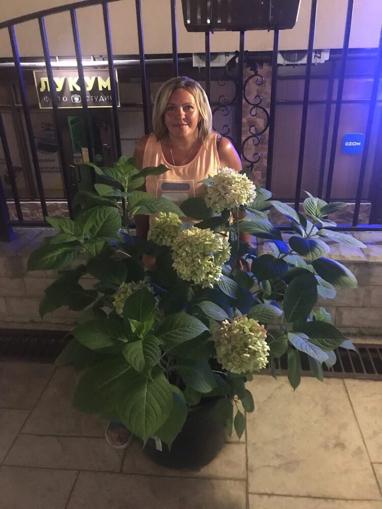  26534901  Natalya, 51 ,    