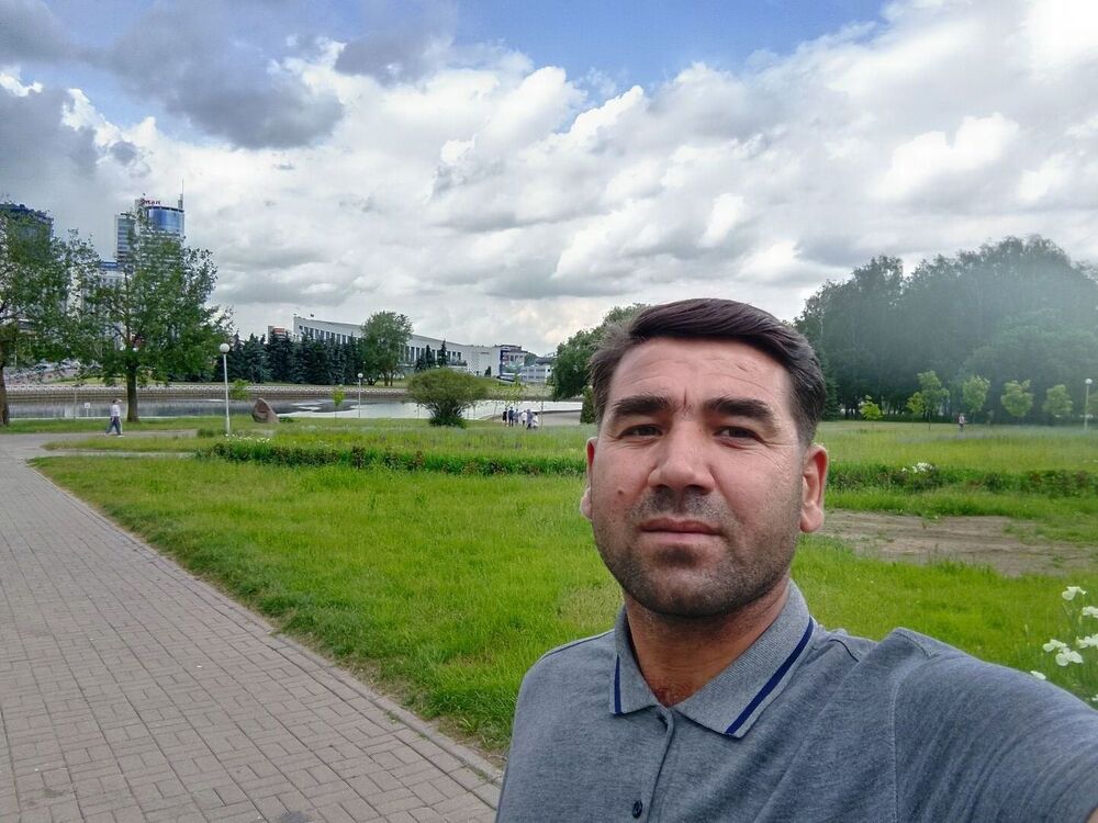  52968541  , 43 ,    