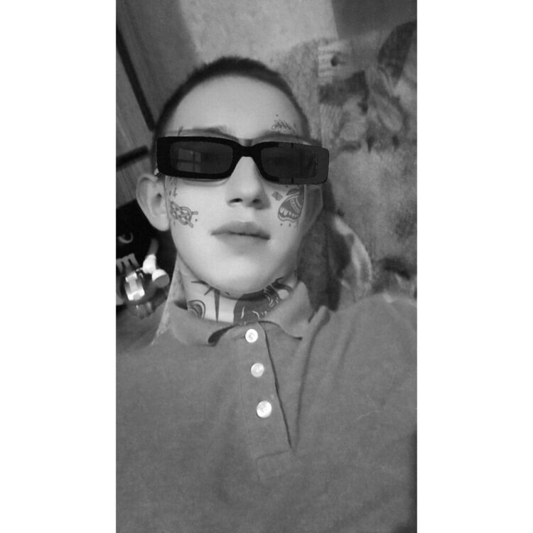  43951531  , 19 ,    