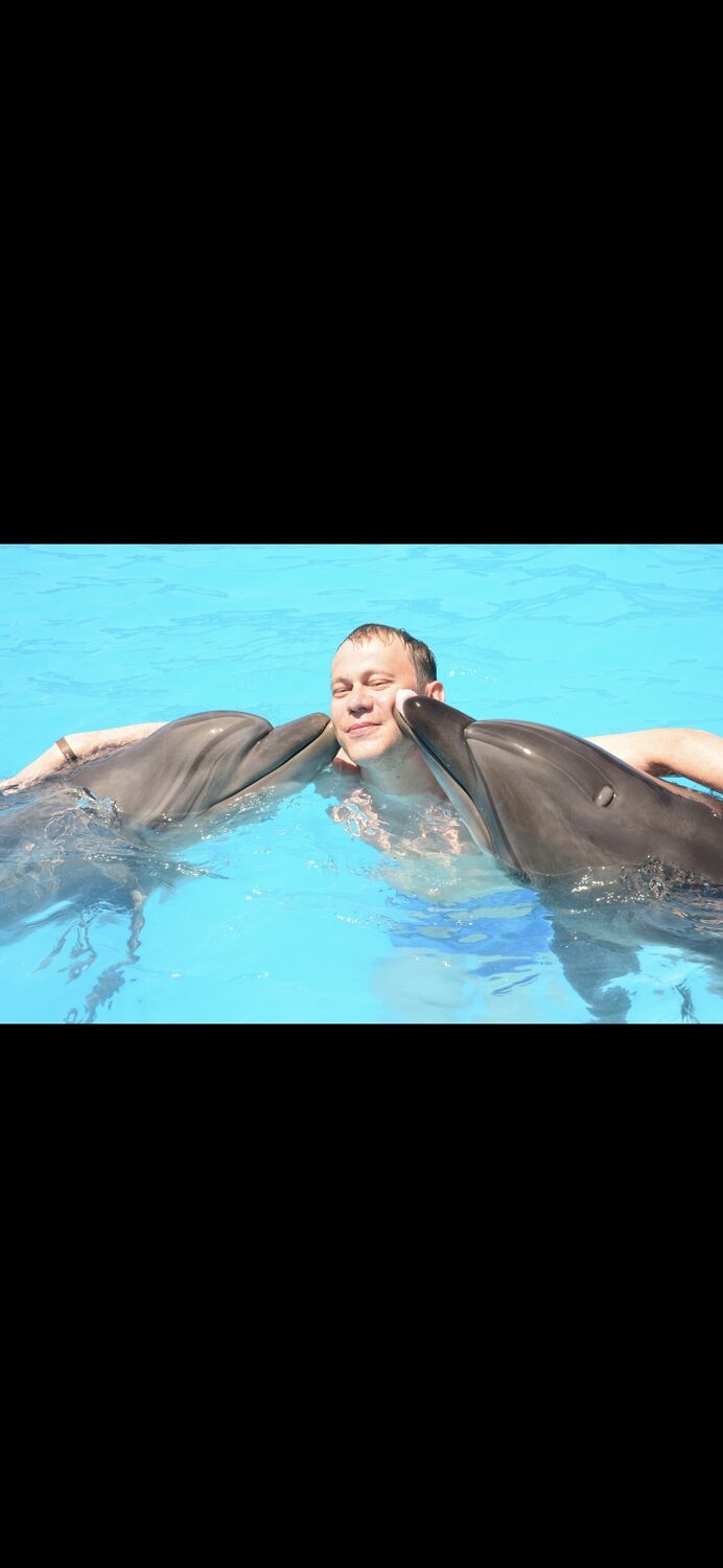 ���� 25256281 ������� ������, 41 ���, ���� ���������� � ������