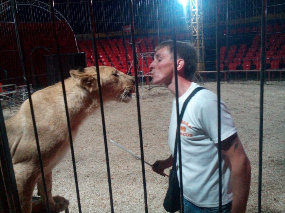 ���������� ������-��-����, ���� ������� ������, 37 ���, ������������ ��� ������, ����� � ���������, c�������� ���������, ���������