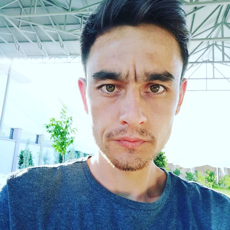  -,   , 31 ,   