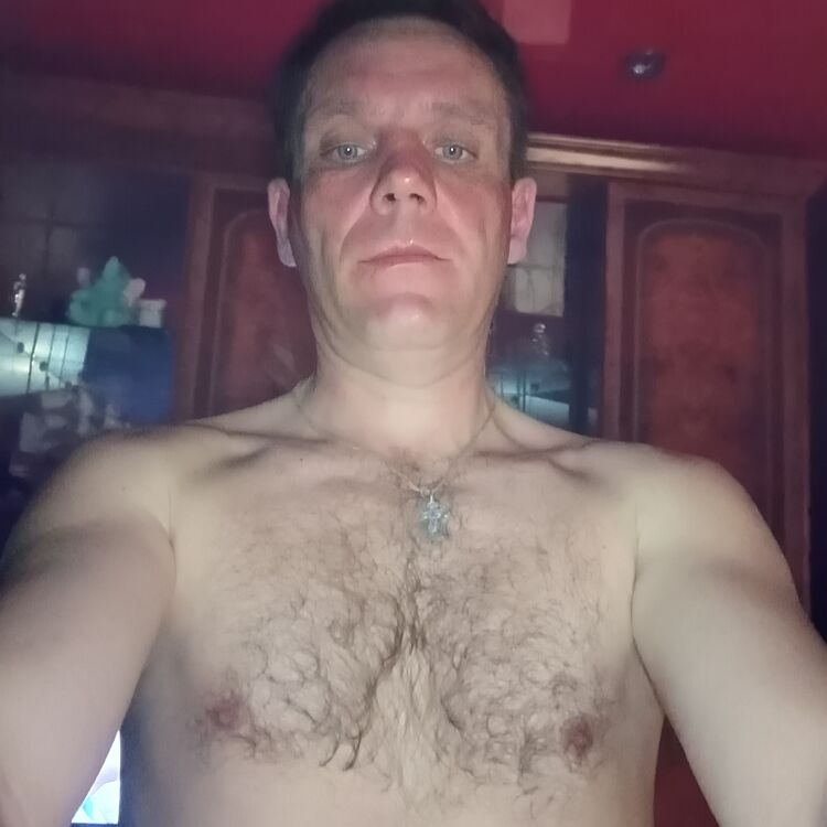  42632431  , 41 ,    -