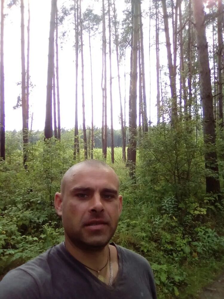 ���� 54874721 ������� �������, 40 ���, ���� ���������� � ������