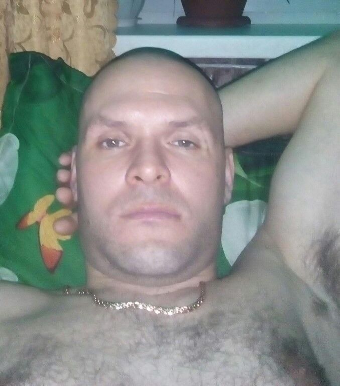  13483631  , 43 ,    