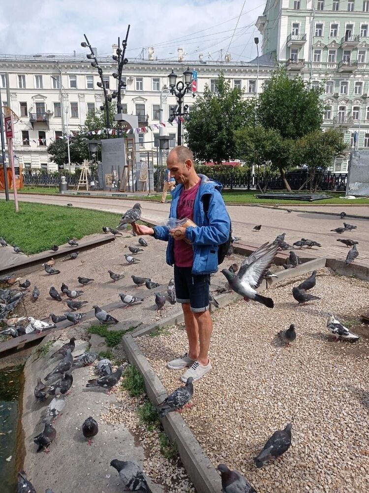 ���� 56290811 ������� �������, 40 ���, ���� ���������� � ��������