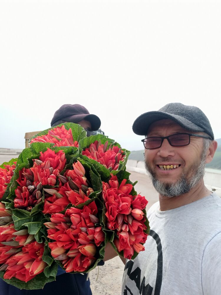 ���� 24314841 ������� ������, 47 ���, ���� ���������� � ��������