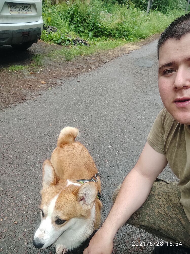 ���������� ������, ���� ����� ���, 25 ���, ������������ ��� ������, ����� � ���������