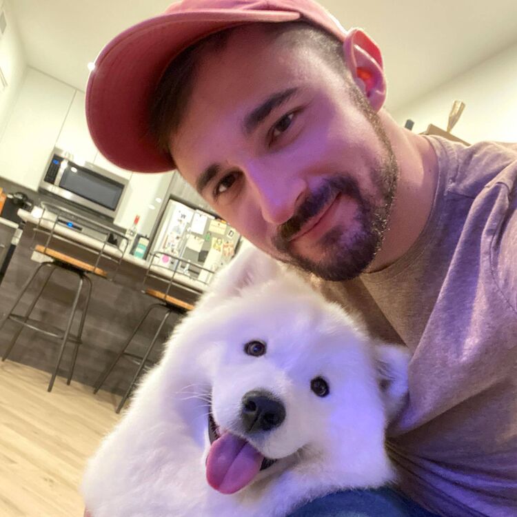 ���� 54996231 ������� ������, 36 ���, ���� ���������� � ������