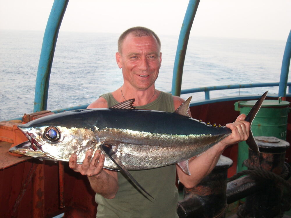 ���� 5243311 ������� ���������, 54 ����, ���� ���������� � ������