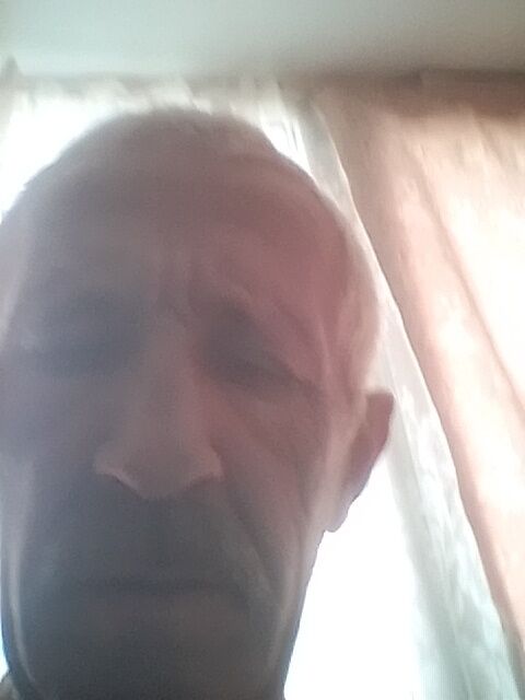  36646561  , 58 ,    