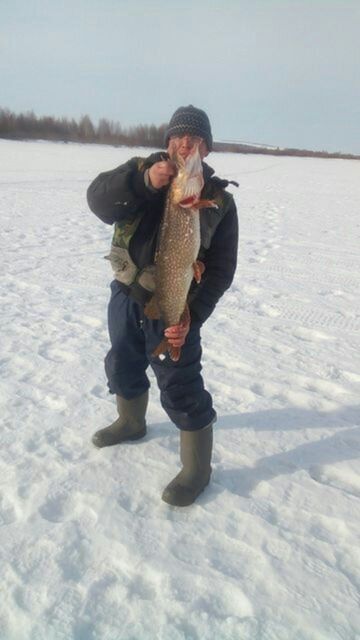 ���� 10140641 ������� ���������, 43 ����, ���� ���������� � ������ ���������