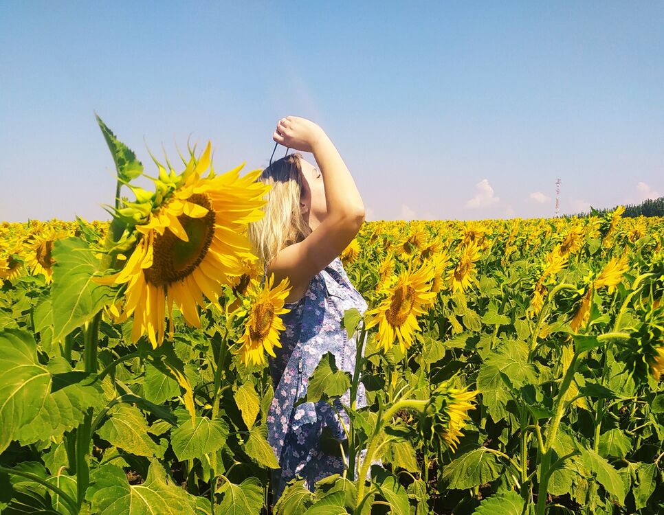 ���� 34174821 ������� ����, 30 ���, ���� ���������� � ������