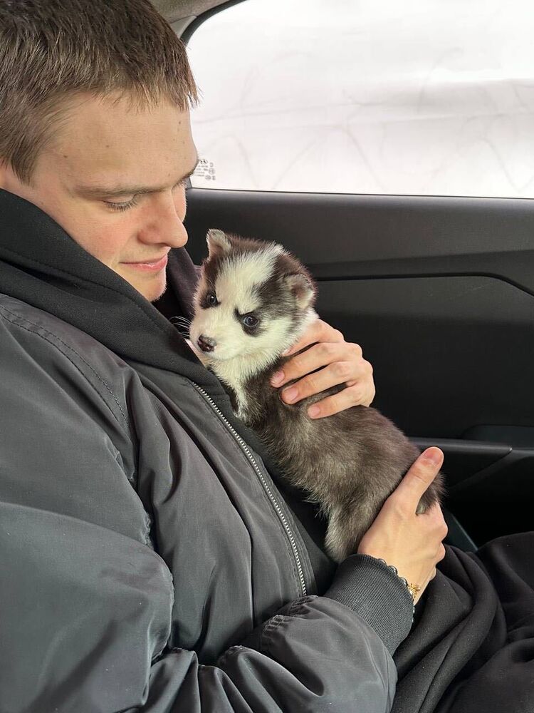 ���� 54385311 ����� ����, 22 ����, ���� ���������� � ��������