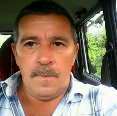  41964881   , 62 ,    
